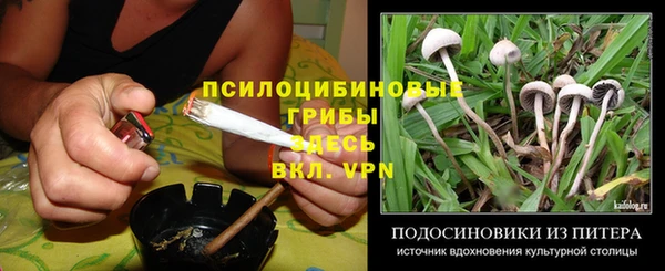 тгк Баксан