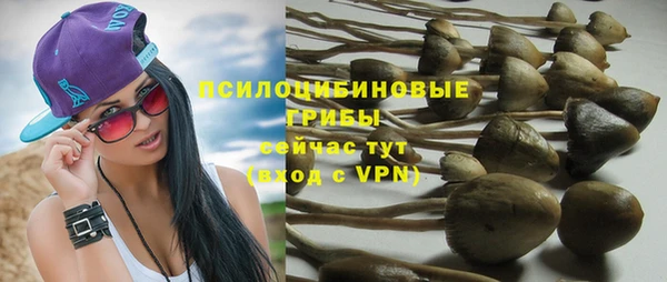 спиды Балахна