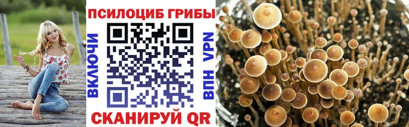 Псилоцибиновые грибы мухоморы  наркота  Белоозёрский 